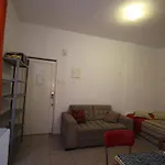 Gohouse Gois 206